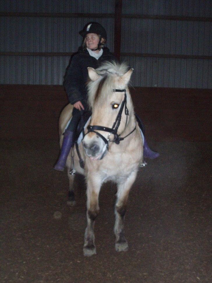 Fjordhest Indianna - Natalie og Indi billede 20