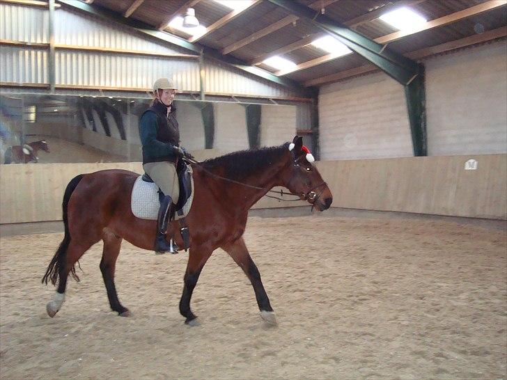 Anden særlig race Charlie Mingus - Her er vi lige blevet færdige med dagens træning billede 2