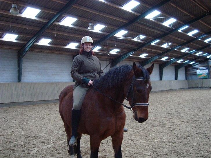 Anden særlig race Charlie Mingus - Lige en hurtig ridetur kort efter jeg begyndte at passe ham billede 4