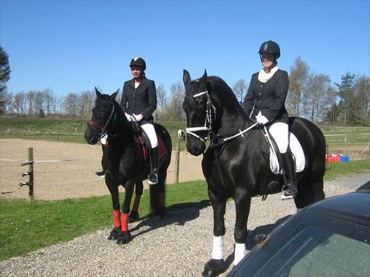 Frieser Hilda - den frieeser ned hvidt underlag er hilda ( som jeg ejer ) billede 1