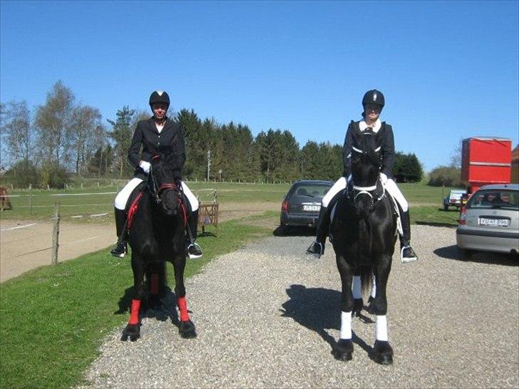 Frieser Hilda - det er hilda i hvidt. billede 2