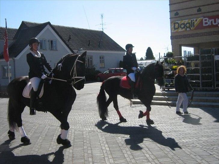Frieser Hilda - hilda i hvidt billede 3