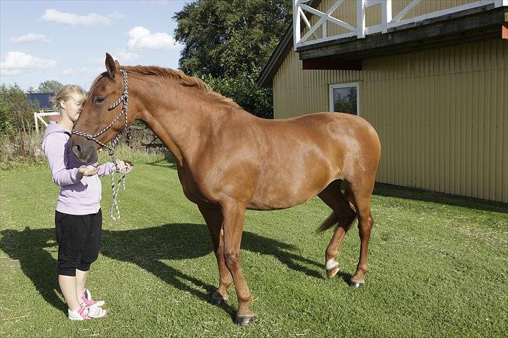 Frederiksborg Lucy billede 18
