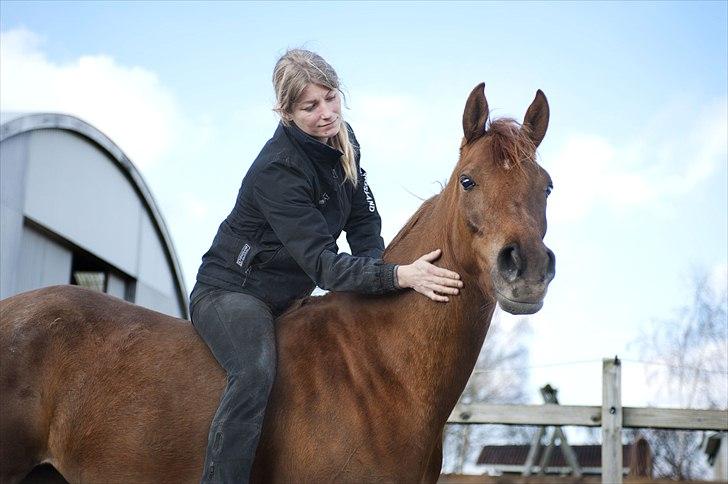 Arabisk fuldblod (OX) Princess Valencia Annakia  - Mia og Valencia. :) billede 2