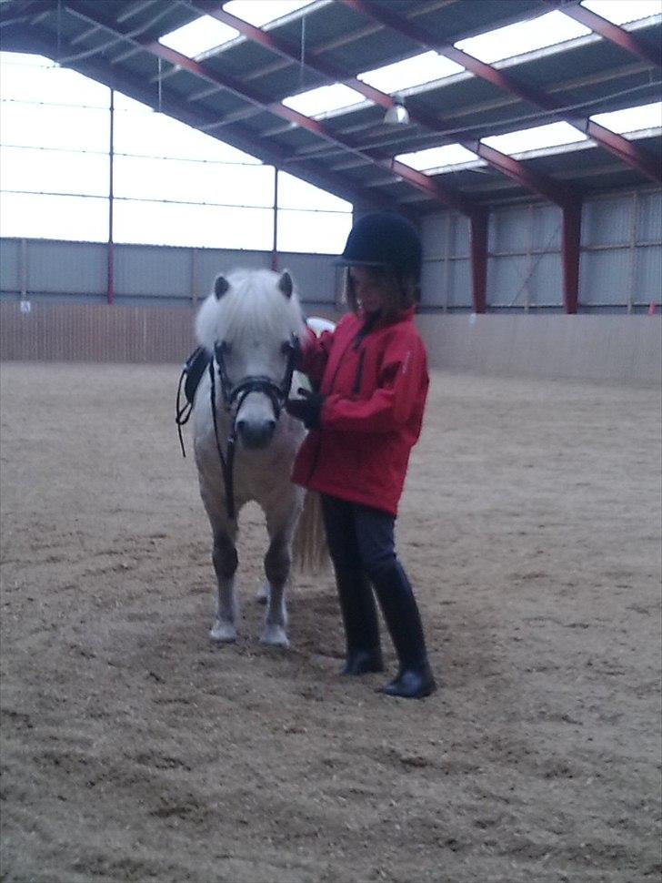 Anden særlig race Prins billede 7