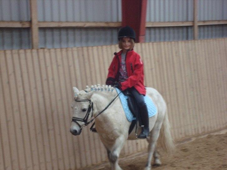 Anden særlig race Prins billede 9