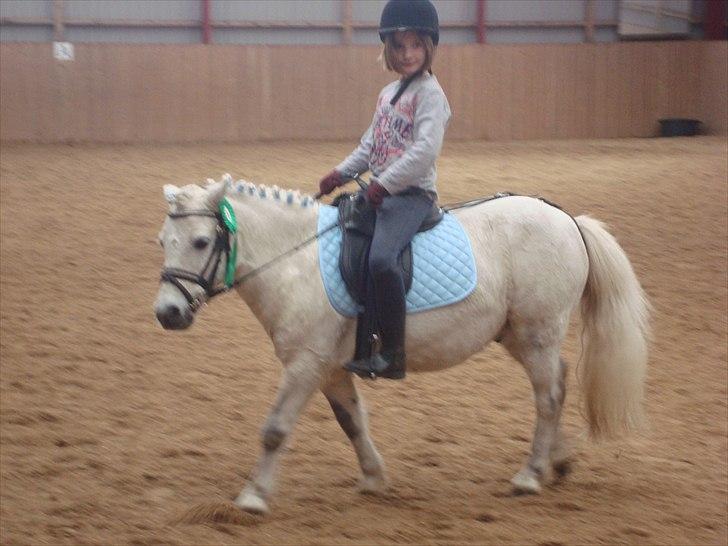 Anden særlig race Prins billede 10