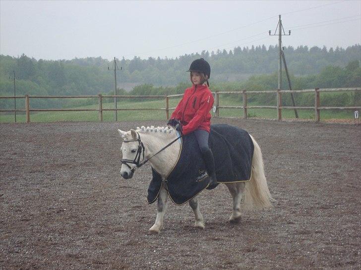 Anden særlig race Prins billede 11