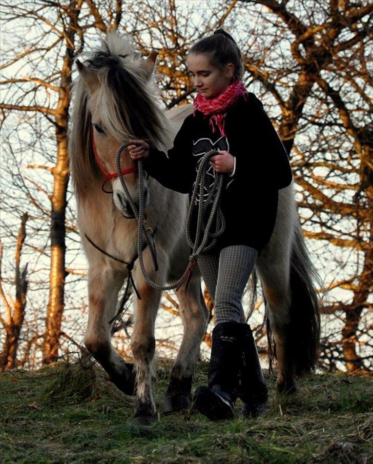 Fjordhest Katrine -Bea •Gl. Part• - Gå tur på marken med Isa. [iv] billede 5