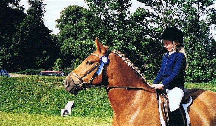 Anden særlig race R.I.P Bokki min skat :'( - Mig og musen til stævne :) elsker dig, verdens bedste pony!! <3<3<3<3 billede 1