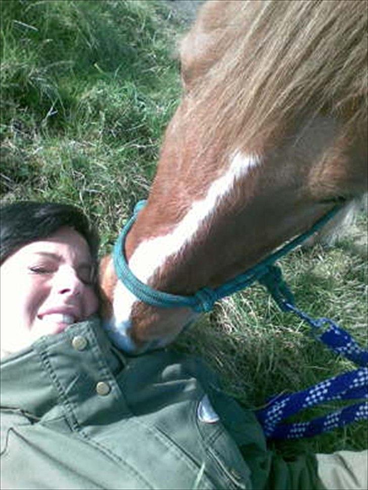 Anden særlig race R.I.P Bokki min skat :'( - Fik en lille mysser <3<3 Som om du vidste hvad der skulle ske senere :´( :´( :´( <3<3<3´ Glemmer dig ALDRIG!! :´( <3<3 billede 8