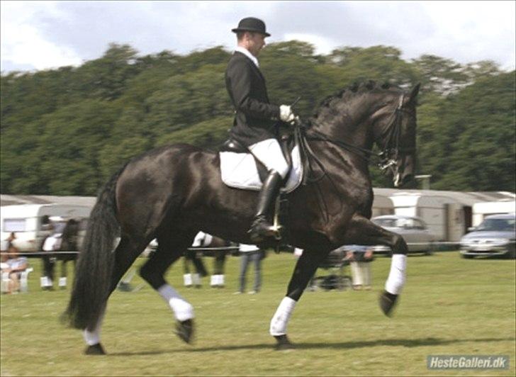 Frieser Hielke  billede 1