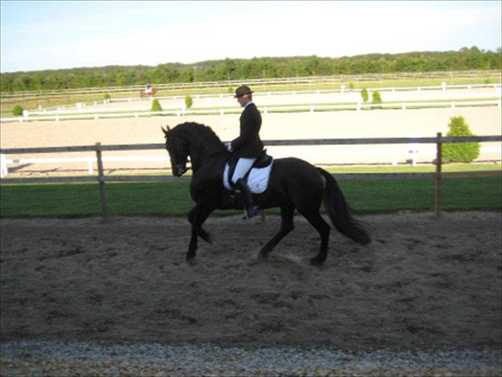 Frieser Hielke  billede 5