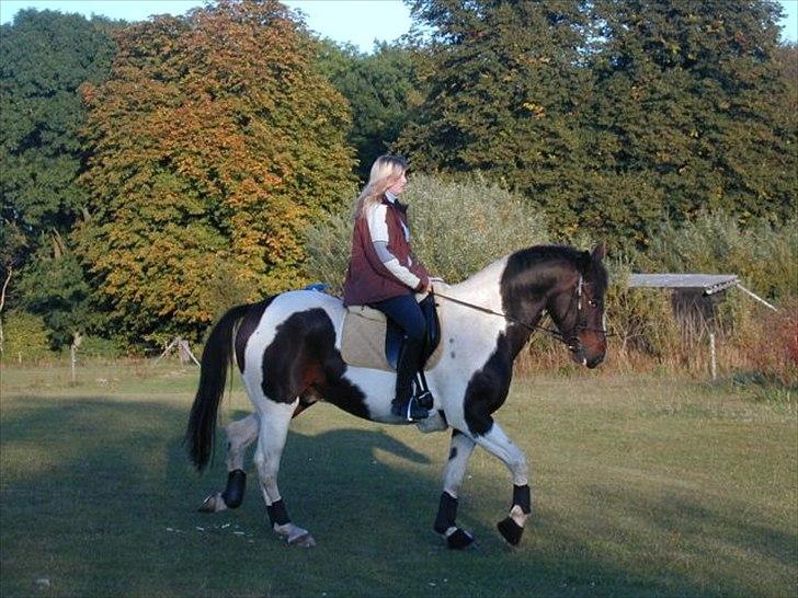 Paint Cosmo. mit hjerte barn  - mig og cosmo billede 11