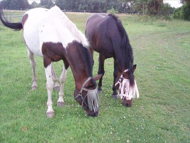 Paint Cosmo. mit hjerte barn  - mac og cosmo billede 13