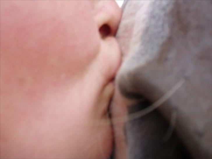 Paint Cosmo. mit hjerte barn  - KYS ELSKER DIG MIN GULDKLUMP billede 14