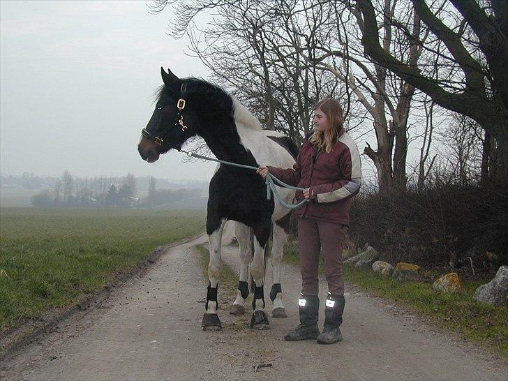 Paint Cosmo. mit hjerte barn  - hey hvad er det der er der over??? billede 15