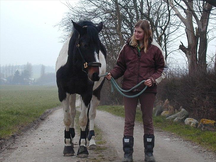 Paint Cosmo. mit hjerte barn  - det perfekte par:) billede 16