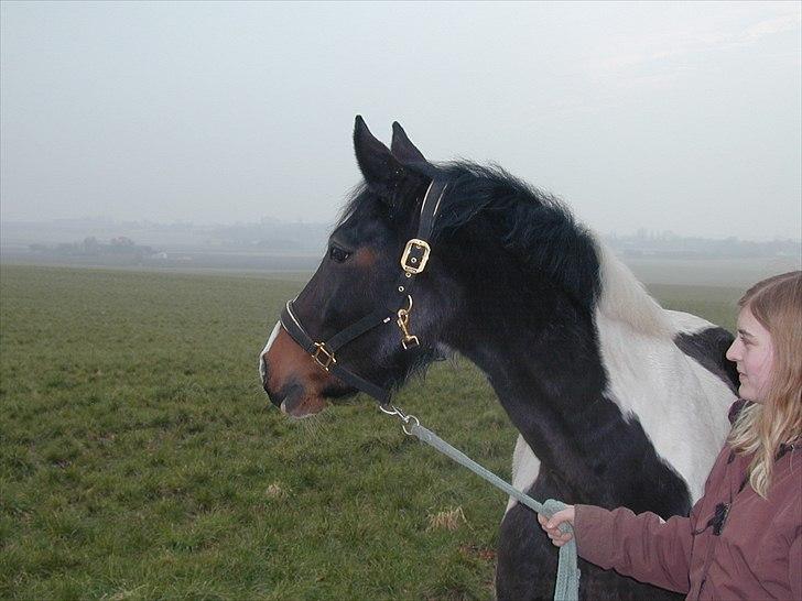 Paint Cosmo. mit hjerte barn  - min guldklump billede 17