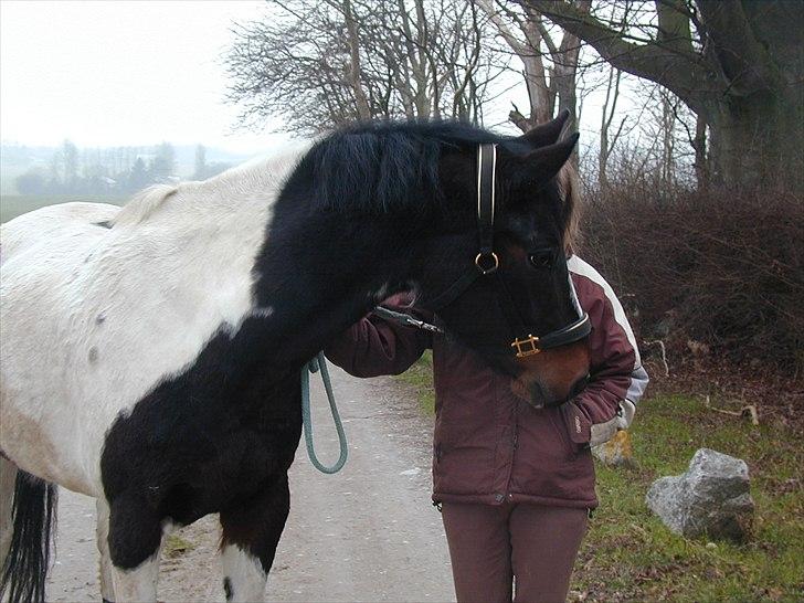 Paint Cosmo. mit hjerte barn  - du skulle vel ikke havde noget i lommen mor? billede 18