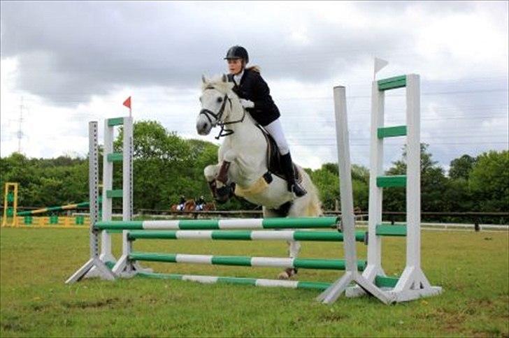 Connemara Nørlunds Trinity - SRÅ stævne d.15.5.11 ;D LD billede 18