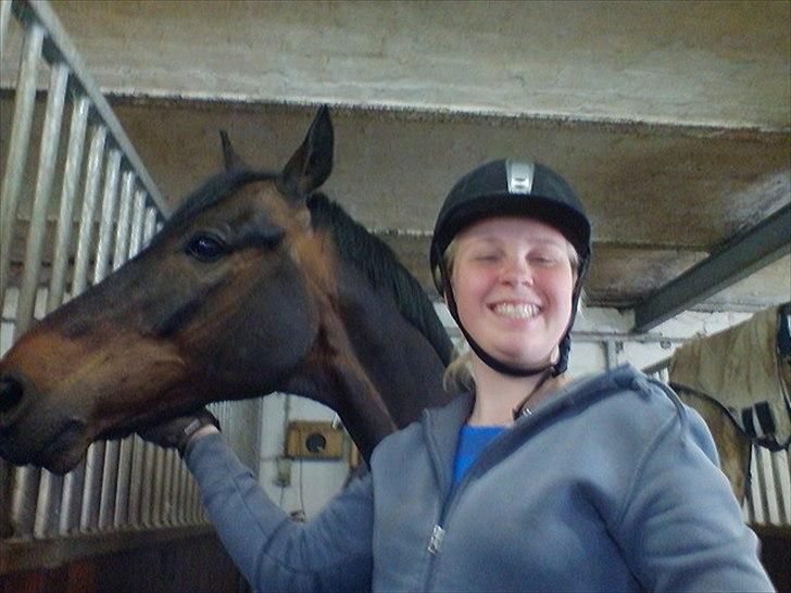 Trakehner Mosegården Goldenas R.I.P billede 16