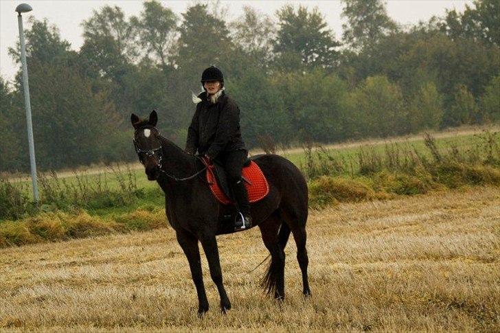 Traver Ærla K *RIP* 8-3-11 billede 8