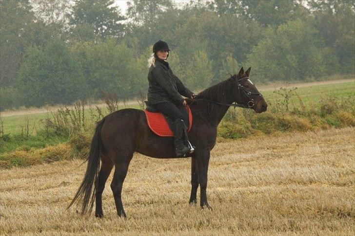 Traver Ærla K *RIP* 8-3-11 billede 9