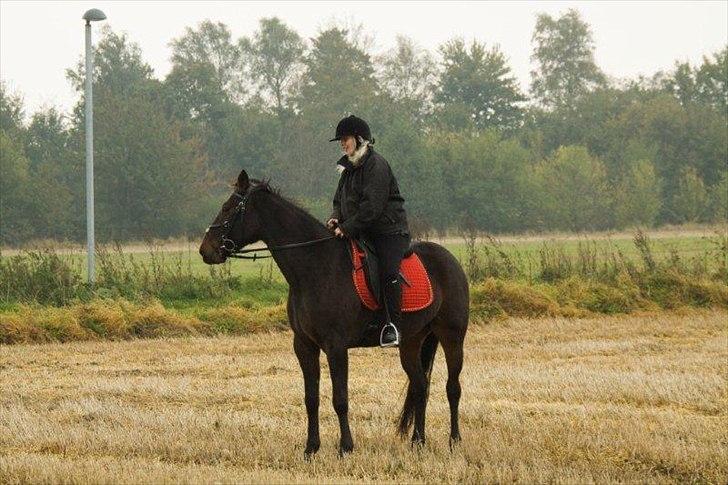 Traver Ærla K *RIP* 8-3-11 billede 10