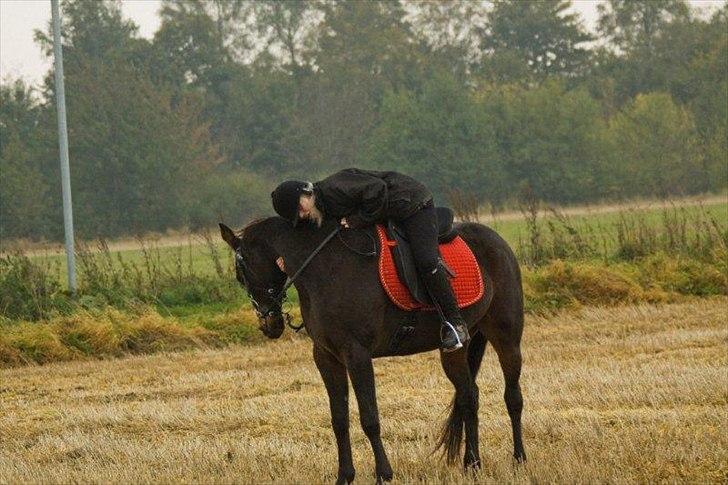 Traver Ærla K *RIP* 8-3-11 billede 11