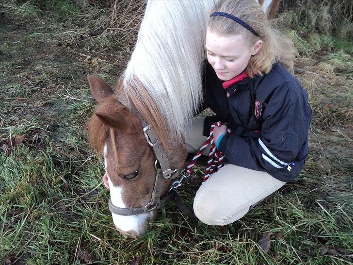 Anden særlig race Tilde - Inden sidste ridetur på dig. Foto: Charlotte Bank billede 12
