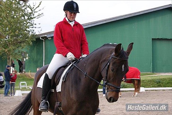 Anden særlig race Merlot R.I.P <3 - Merlot og mig til stæven på HVL...billedet 17 billede 16