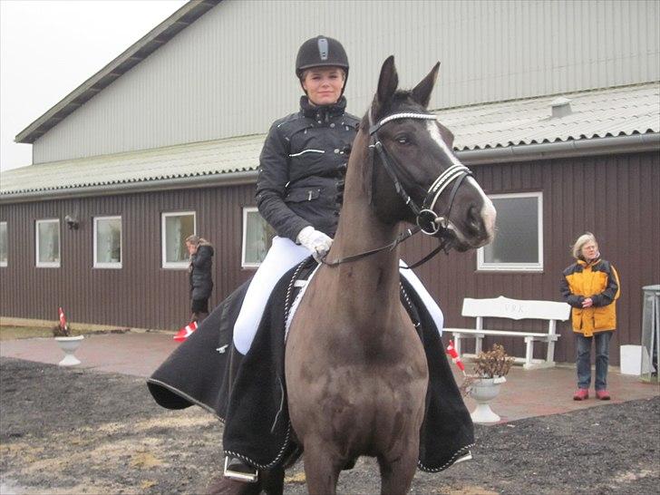 Oldenborg Tamara Sejr  billede 15