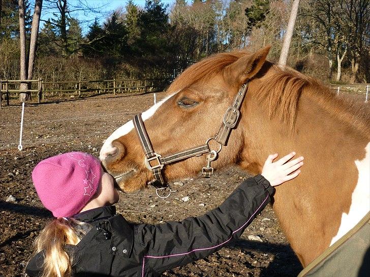 Anden særlig race Elmegårdens Sir Konrad<3 (solgt) - Et ordentlig smækkys! billede 4
