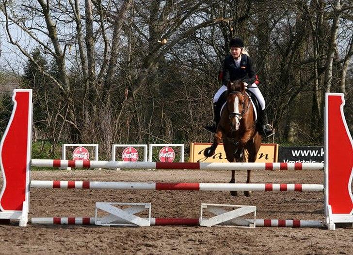 New Forest Escada (Ester)  - LB billede 14