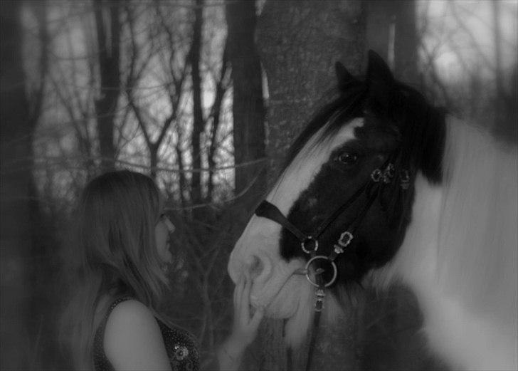 Tinker Katinka - Billeder fra 1. december 2010, dagen hvor Katinka tog på sin sidste rejse billede 17