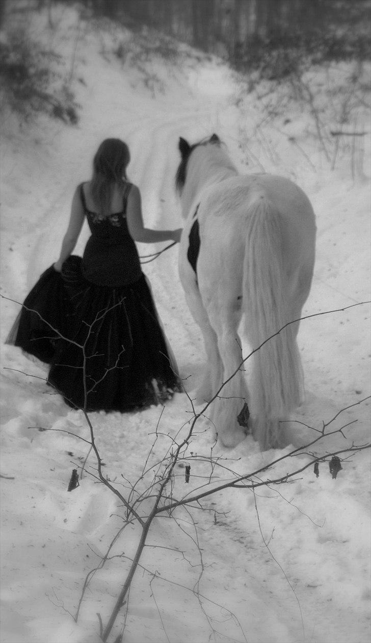 Tinker Katinka - Billeder fra 1. december 2010, dagen hvor Katinka tog på sin sidste rejse billede 18