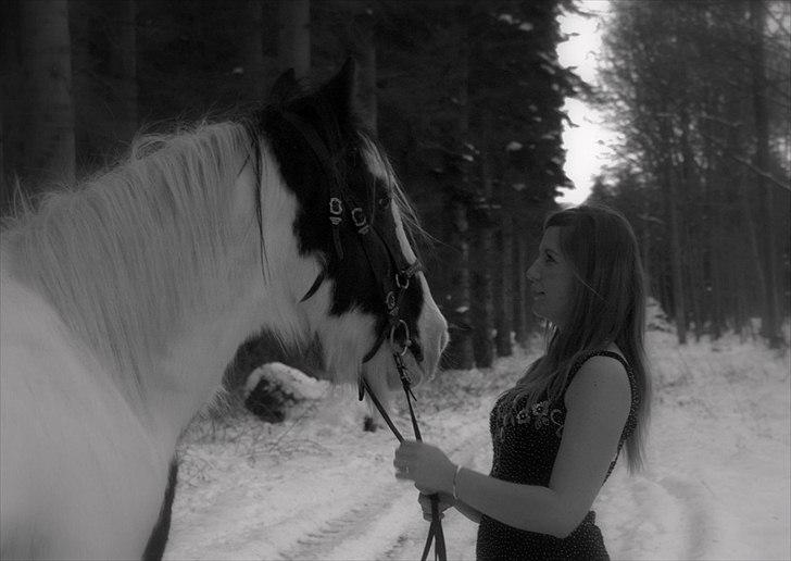 Tinker Katinka - Billeder fra 1. december 2010, dagen hvor Katinka tog på sin sidste rejse billede 19