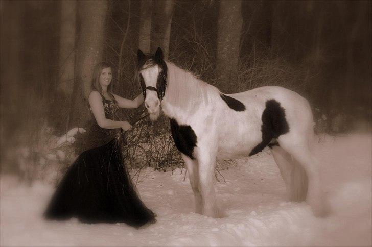 Tinker Katinka - Billeder fra 1. december 2010, dagen hvor Katinka tog på sin sidste rejse billede 20