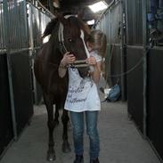 Anden særlig race Red Lady