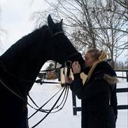 Anden særlig race Midas