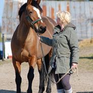 Anden særlig race Gabriella (Gabi)