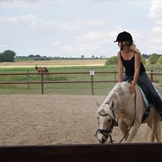 Tysk Sportspony Lolita A-pony*