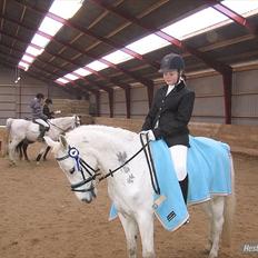 Anden særlig race Søvinds Silvermoon <3 R.I.P <3 :'(