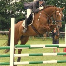 Hannoveraner Ff Crystal-Rock 