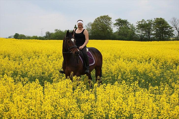 Fuldblod (XX) Valliang *Min stjerne* - En tur ude i raps marken ;) 10 maj - 2011  billede 13