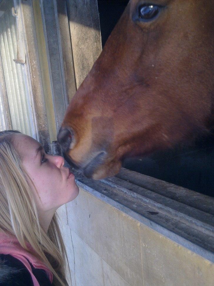 Anden særlig race Dreamcatcher - kyys;) billede 5