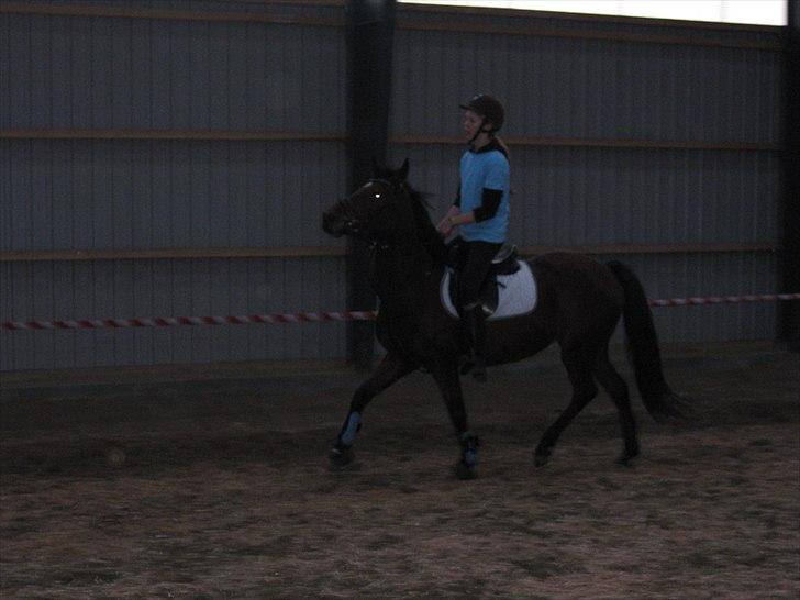 Anden særlig race Dreamcatcher - En af de første ture på Dreamer<3
2010 billede 2