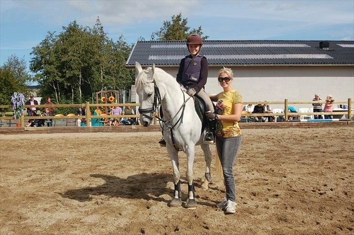 Hollandsk Sportspony Orlanda Downland (Himmelhest??) - undervisning af tina lund billede 9