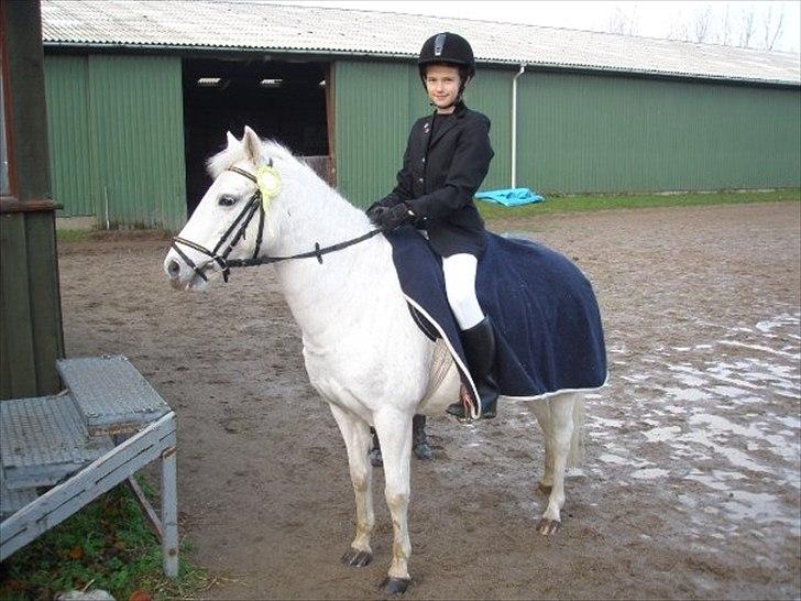 Anden særlig race KOKOS - Første stævne på hende :-) billede 9